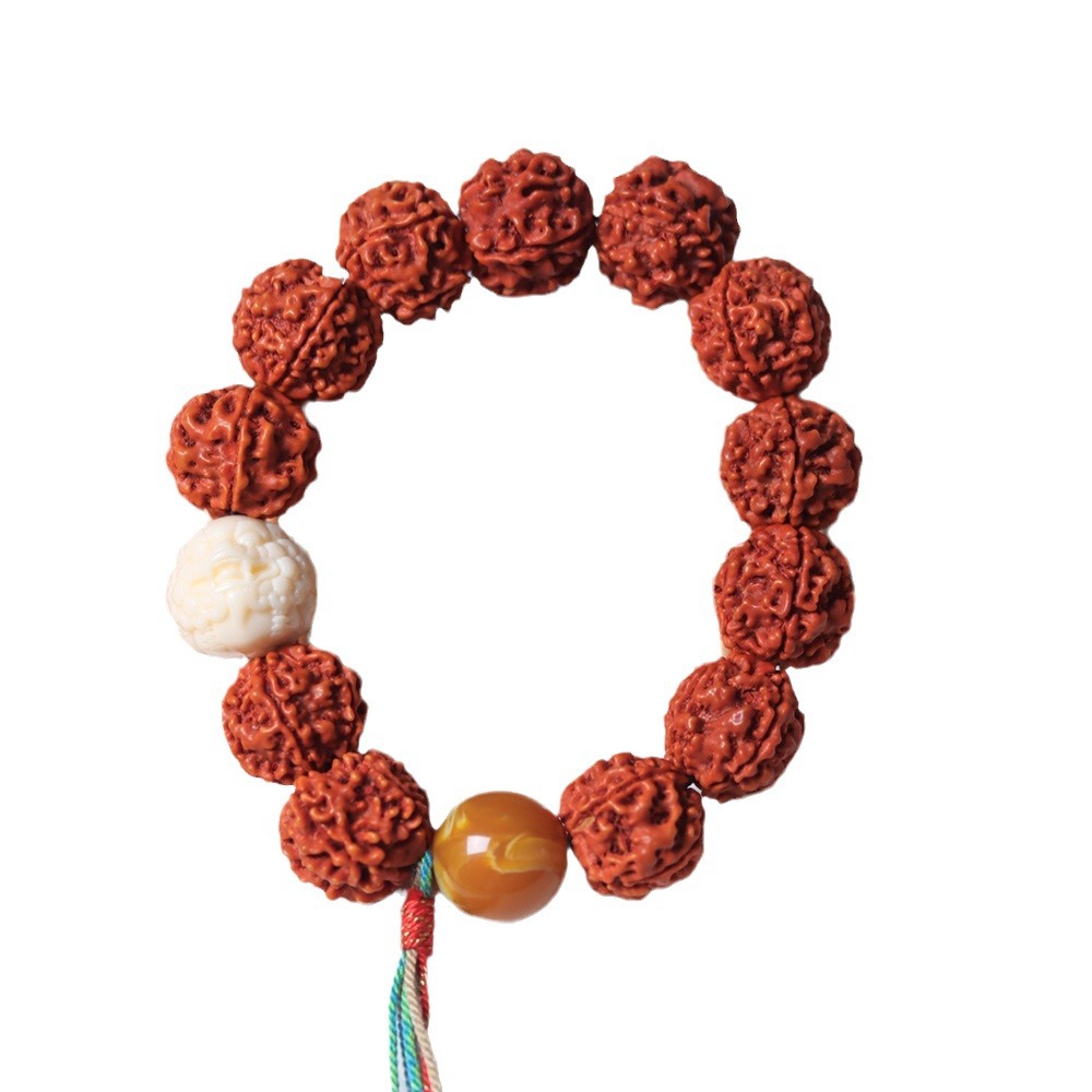 Nepal cinco pétalas carne comp - Women Accessories Nepal avaliação e preço